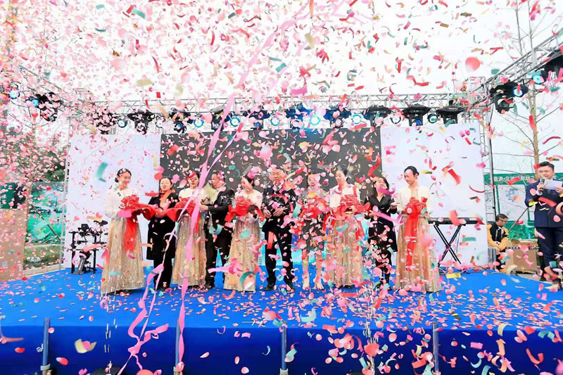 龍湖城(chéng)邦亮相活動完美(měi)完成任務，達到了(le)預想的(de)效果，值得(de)點贊