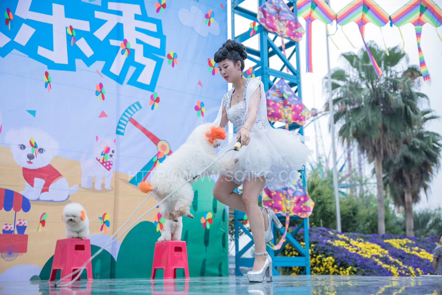 華僑城(chéng)萌寵活動