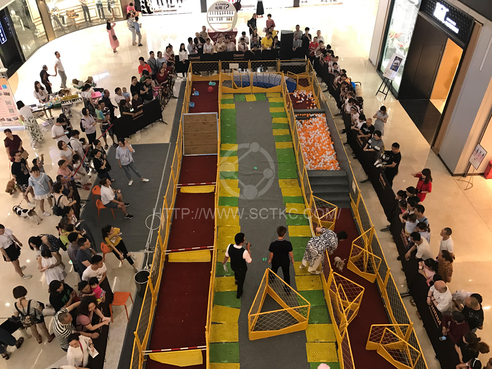 雕像國際萌寵運動會